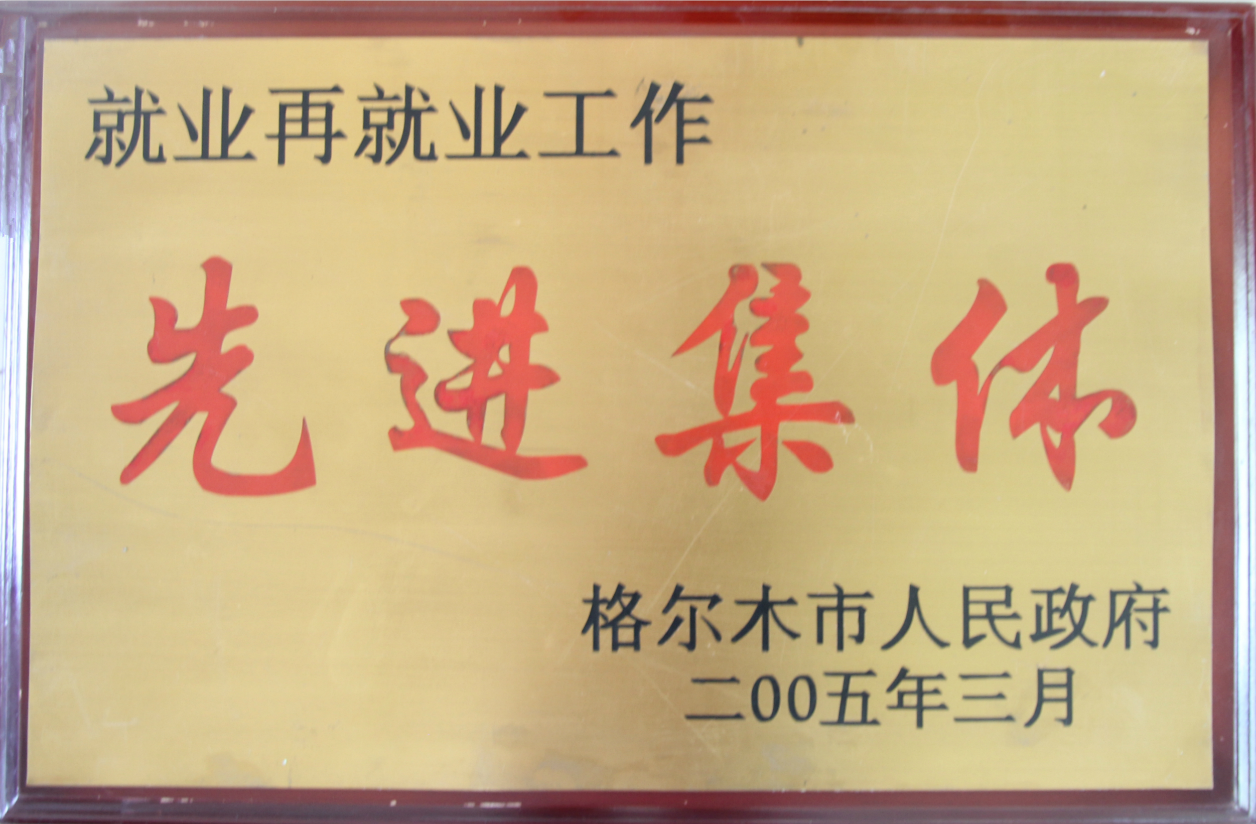 2005年格尔木就业再就业工作先进集体